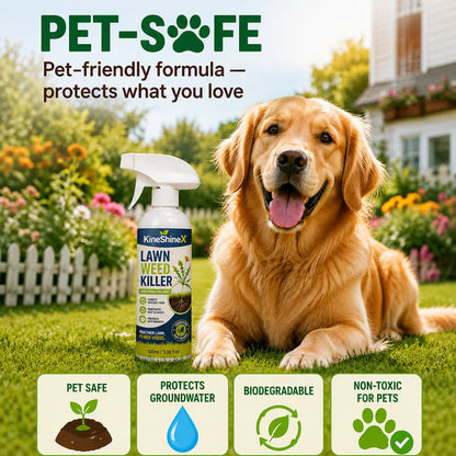 Garden Weed Killer – Spray, Walk Away & Enjoy a Cleaner Yard