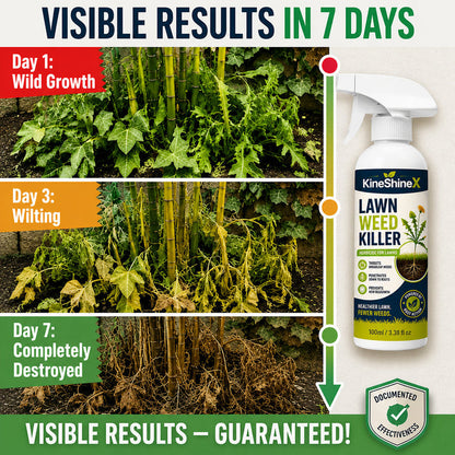 Garden Weed Killer – Spray, Walk Away & Enjoy a Cleaner Yard