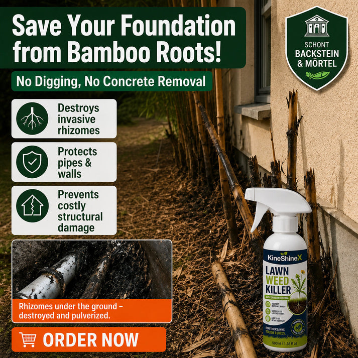Garden Weed Killer – Spray, Walk Away & Enjoy a Cleaner Yard