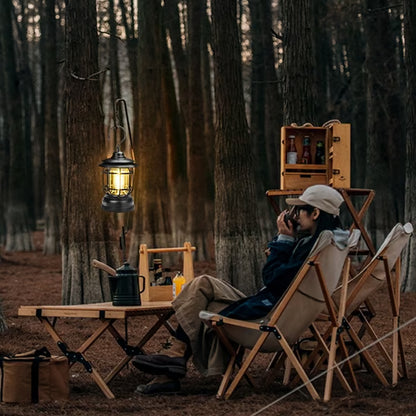 Promotion-Portable Retro Camping Lamp🔥🔥
